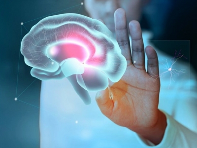 Como as empresas desenvolvem a saúde mental dos colaboradores