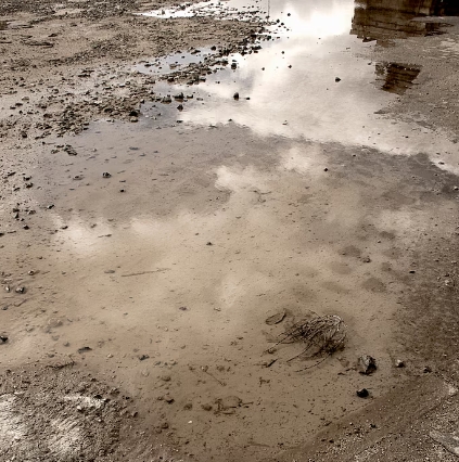 Alagamentos e chuvas impactam o transporte de cargas no Rio Grande do Sul