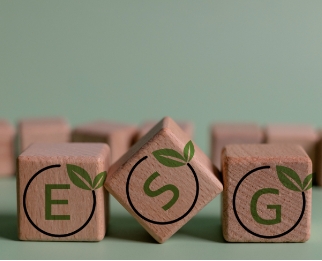 A verdade sobre ESG que todo executivo precisa saber